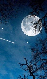 月亮吃瓜娱乐说