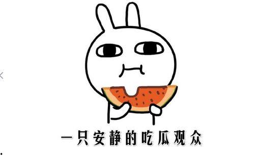 回复吃瓜表情的注意事项,礼仪与禁忌全解析