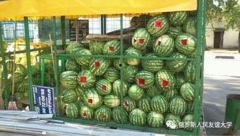 吃瓜网每日大赛主题大赛