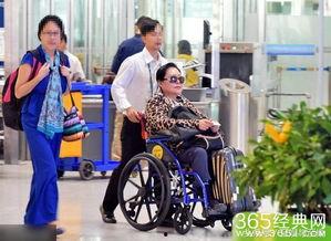 娱乐吃瓜君轮椅