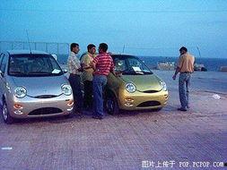 国产自在,探寻中国本土文化的独特魅力