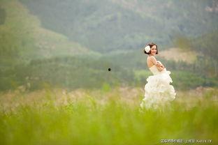 青青青草国产,探寻青青青草国的绿色奇迹